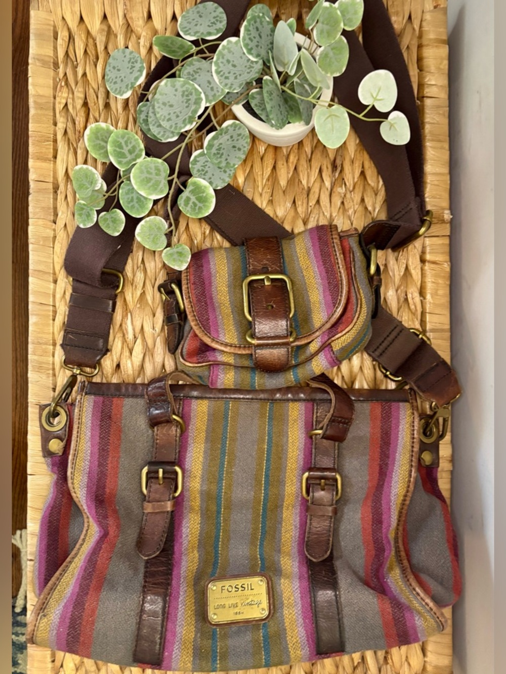 Fossil Striped Multicolor Crossbody Bag with Leather Trim - Picture 12 of 12